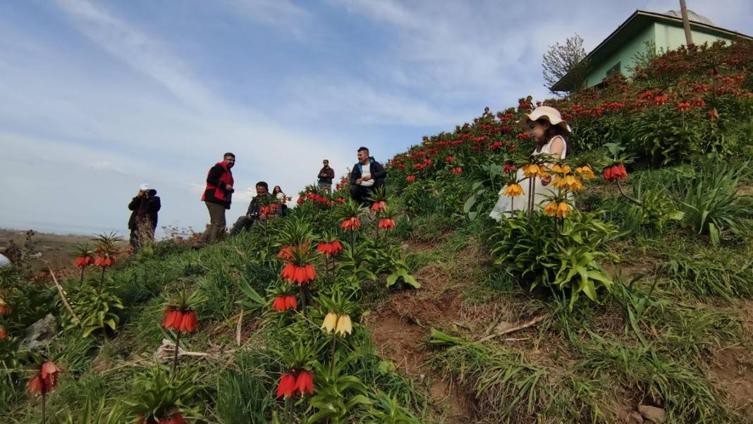 Bu insanlar neye bakıyor? Gece-gündüz nöbet tutuyorlar, ilk kez görenler şaştı kaldı! 43